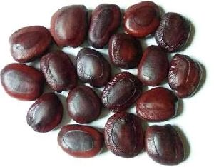 Tamarind Seeds