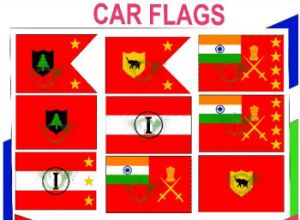 Car Flags