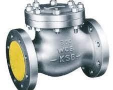 Swing Check Valves