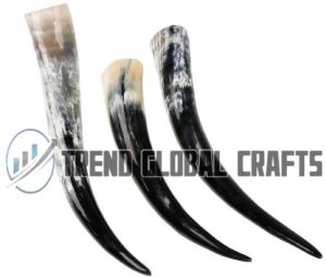 Buffalo large drinking horn