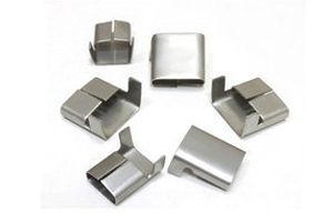 Stainless Steel Wing Seal