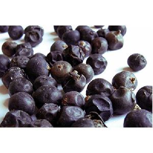 Juniper Berry Oleoresins