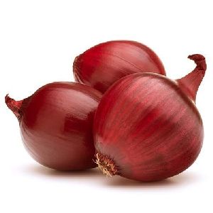 Organic Fresh Onion