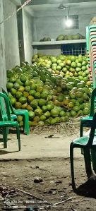 Green Coconuts