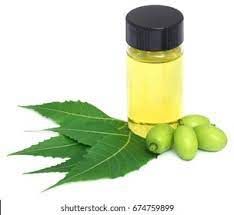 Neem Extract