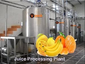 Fruit Processing Machine