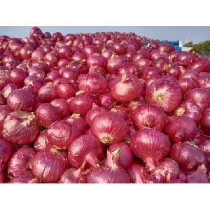 Red Onion