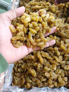 dried golden raisins