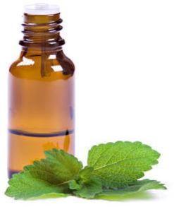 Indian Peppermint Essential Oil