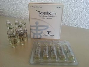 testosterone enanthate Testobolin injections