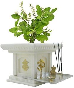 Marble Tulsi Pot