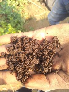 Bandhan Vermicompost