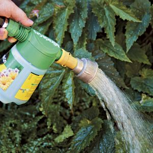 Cal Punch Liquid Fertilizer