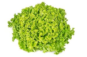 Lollo Bionda Lettuce Leaves