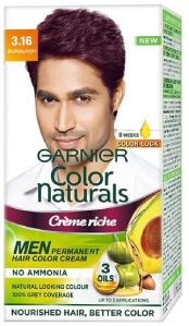 Garnier Color Naturals Mens Hair Colour