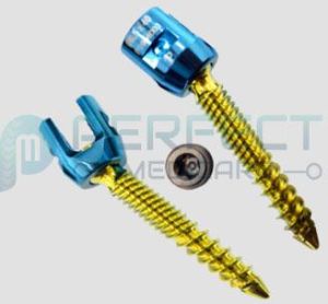 Dual Thread Poly Axial Screw