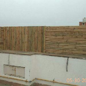 bamboo wall