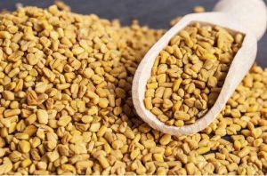 Fenugreek Seeds