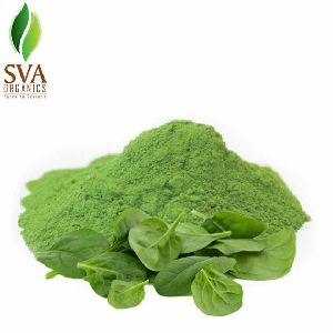 Spinach Powder