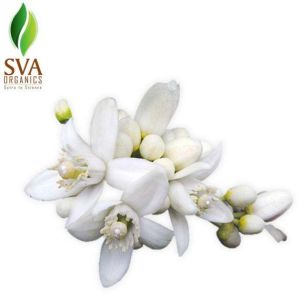 Tuberose Fragrance