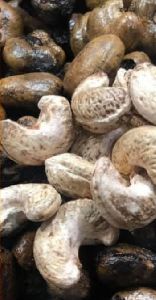 Raw Cashew Nuts