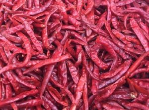 Byadgi Stemless Dried Red Chilli