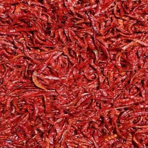 Guntur Stemless Dried Red Chilli