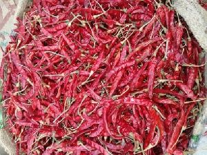 Indo 5 Dried Red Chilli