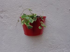 wall planter