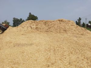 Natural Wheat Straw