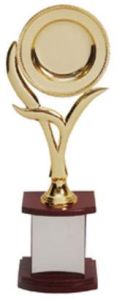 award trophy