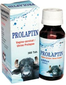 Prolaptin Tablets