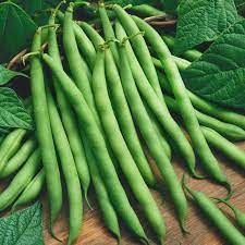 Fresh Bush Beans