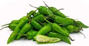 Green Bullet Chilli