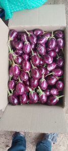 Brinjal