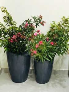 Fiber Planters