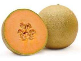 MM-B9098 Hybrid Muskrmelon Seeds