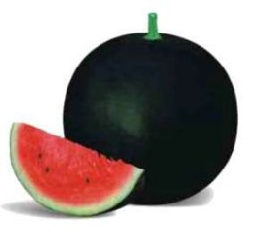 WM-SU8001 Hybrid Watermelon Seeds