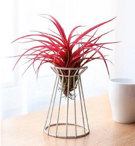 Wire Planter Pot