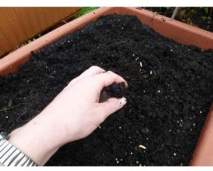 50Kg Vermicompost Fertilizer