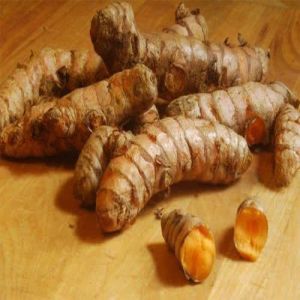 Raw Turmeric Finger