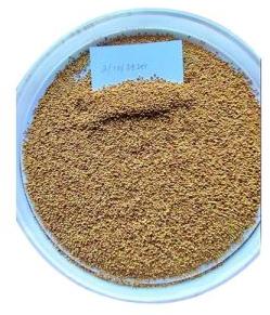 Herbal Berseem Seed