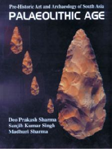 Palaeolithic Age Book