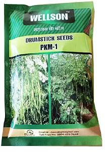 Moringa Seeds (Early Variety ) PKM-1