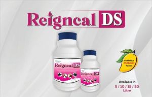 Reigncal DS Cattle Feed Supplement