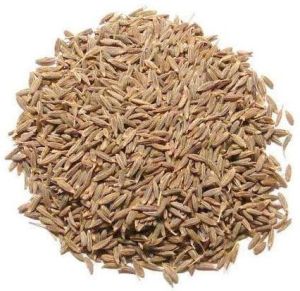 Commercial Cumin Seeds