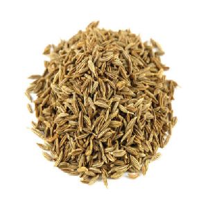 Premium Cumin Seeds