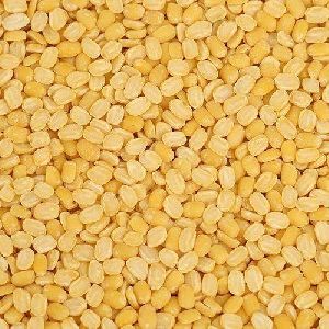 Yellow Unpolished Extra Bold Moong Dal