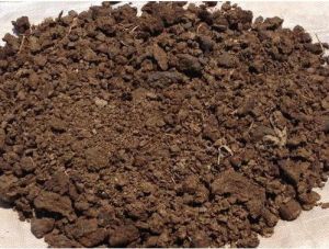 cow dung powder