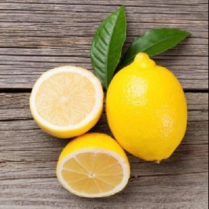 Citrus limon peel
